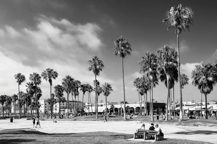 Black California Series - Summer At Venice Beach