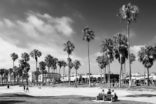 Los Angeles: Summer At Venice Beach by Philippe Hugonnard