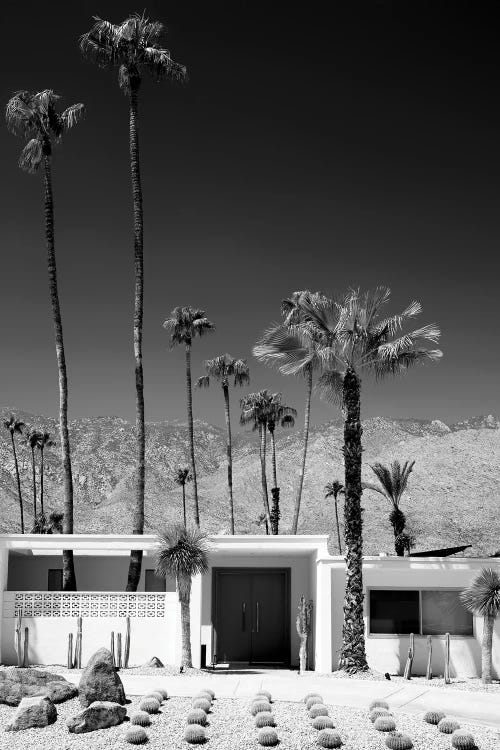 Black California Series - Palm Springs Midcentury Modern