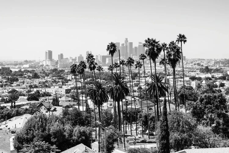 Black California Series - Los Angeles View