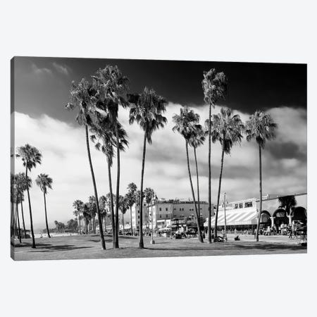 Black California Series - Venice Beach Palm Trees Canvas Print #PHD1793} by Philippe Hugonnard Canvas Print