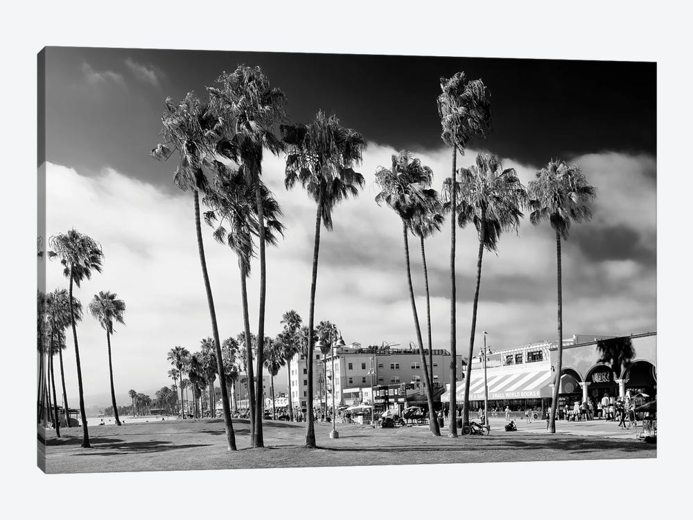 Black California Series - Venice Beach Palm Trees by Philippe Hugonnard 1-piece Art Print