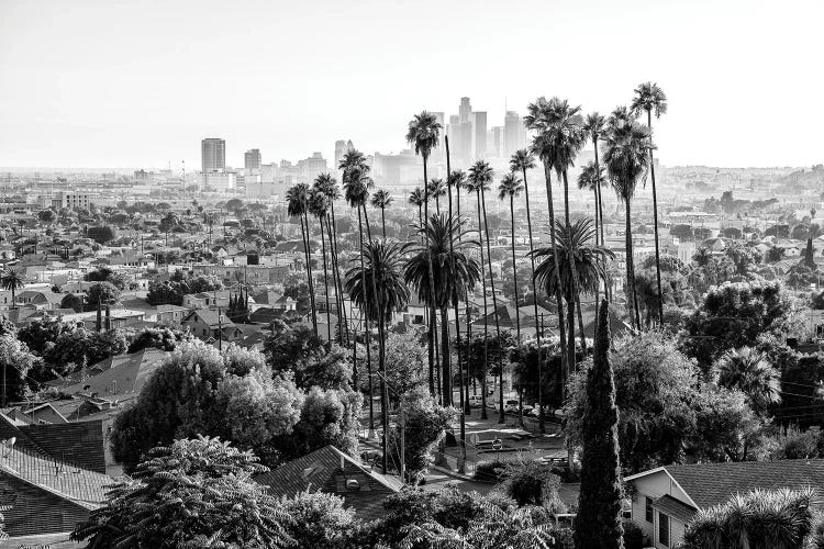 Black California Series - The Los Angeles Skyline