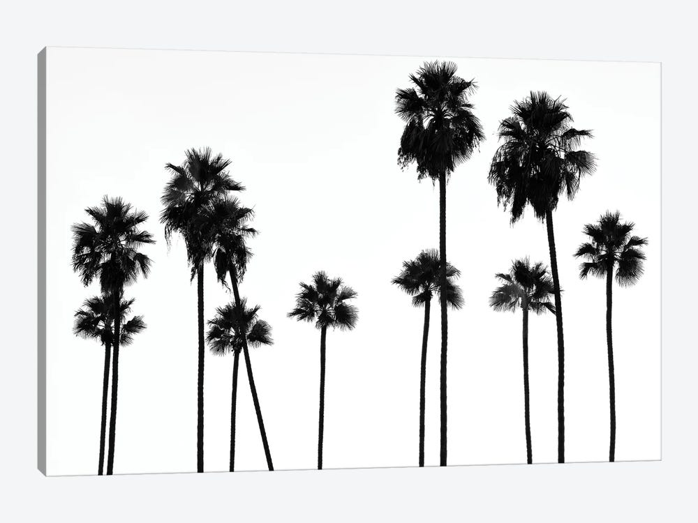 Black California Series - Palm Trees L.A by Philippe Hugonnard 1-piece Canvas Art Print