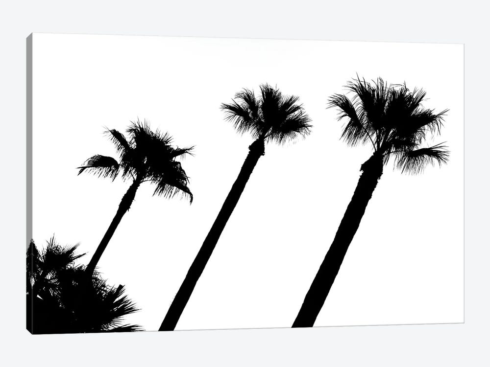 Black California Series - Three Palm Trees by Philippe Hugonnard 1-piece Canvas Wall Art