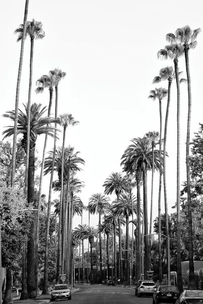 Los Angeles Palm Trees by Philippe Hugonnard art print