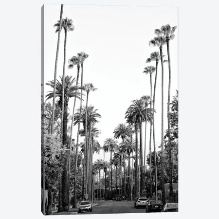 Black California Series - Los Angeles Palm Trees Canvas Print #PHD1814} by Philippe Hugonnard Canvas Art Print