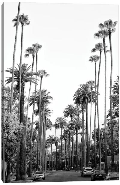 Black California Series - Los Angeles Palm Trees Canvas Art Print - Gray Art