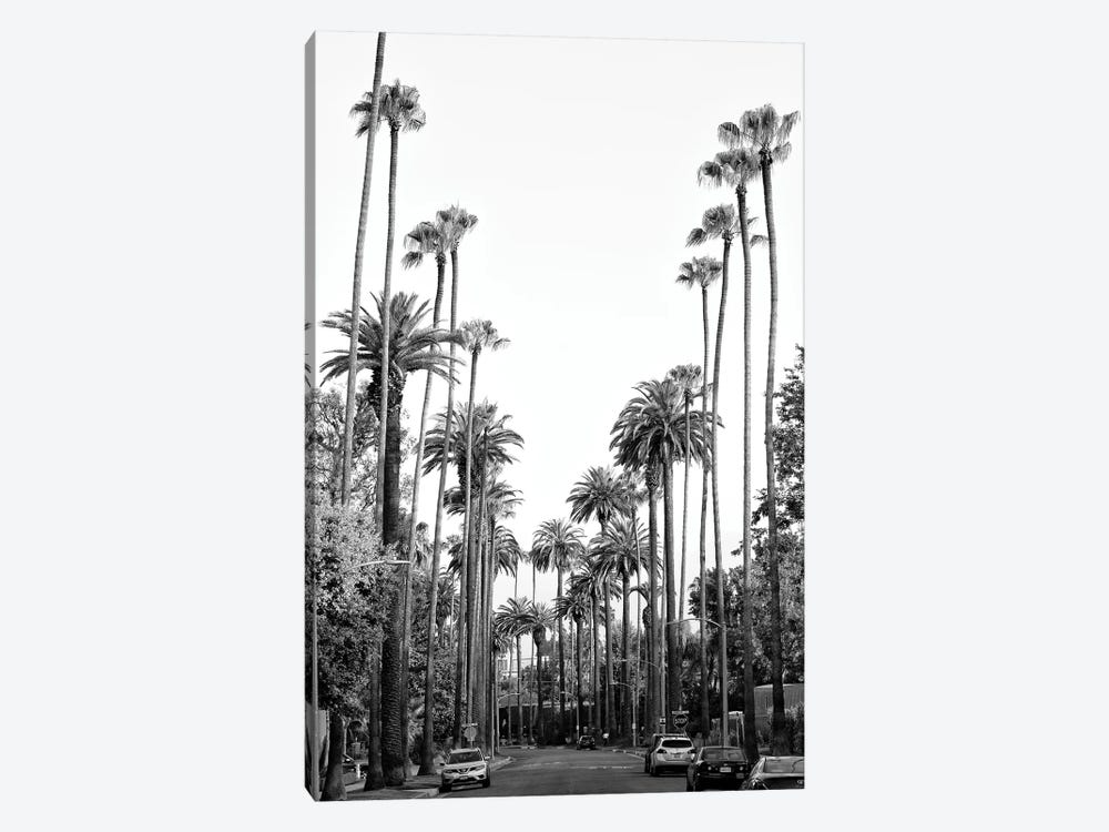 Black California Series - Los Angeles Palm Trees by Philippe Hugonnard 1-piece Canvas Wall Art