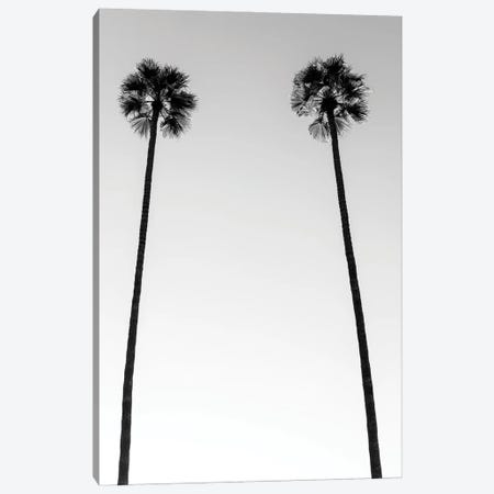 Black California Series - Two Palm Trees Canvas Print #PHD1815} by Philippe Hugonnard Canvas Art Print