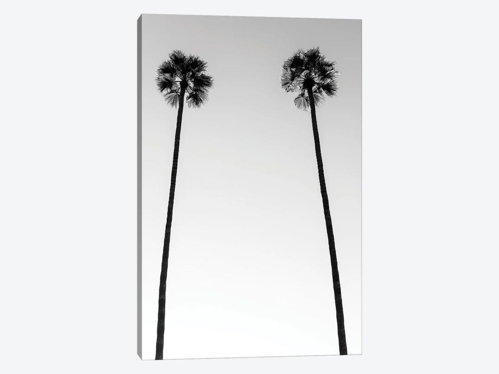 Black California Series - Two Palm Trees by Philippe Hugonnard 1-piece Canvas Art Print