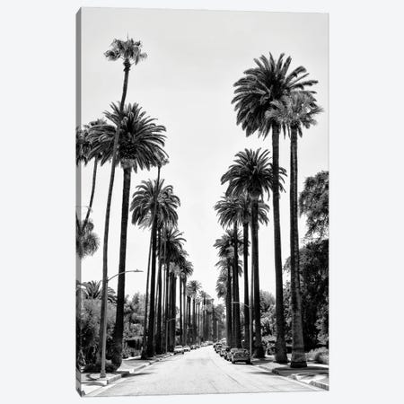 Black California Series - Beverly Hills Palm Alley Canvas Print #PHD1820} by Philippe Hugonnard Canvas Print