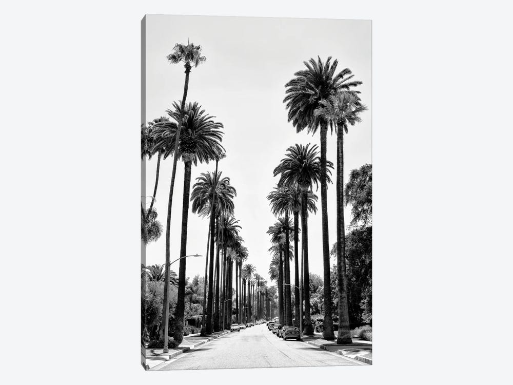 Black California Series - Beverly Hills Palm Alley 1-piece Art Print
