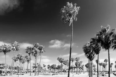 Venice City Beach by Philippe Hugonnard art print