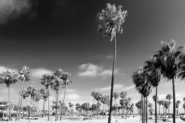 Los Angeles: Venice City Beach by Philippe Hugonnard