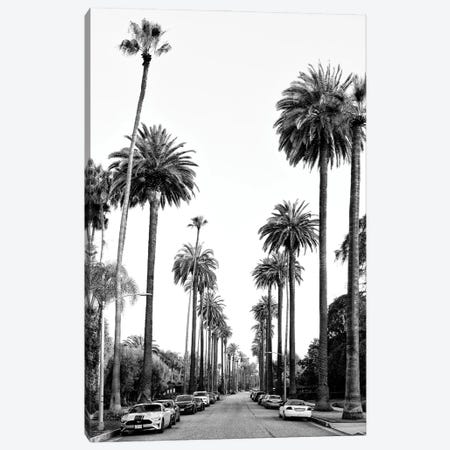 Black California Series - Los Angeles Palm Alley Canvas Print #PHD1823} by Philippe Hugonnard Canvas Print