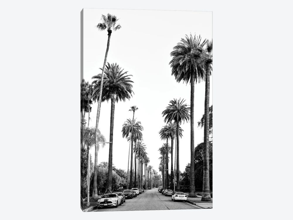 Black California Series - Los Angeles Palm Alley by Philippe Hugonnard 1-piece Canvas Art