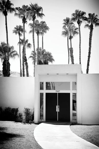 Palm Springs: Palm Springs House II by Philippe Hugonnard