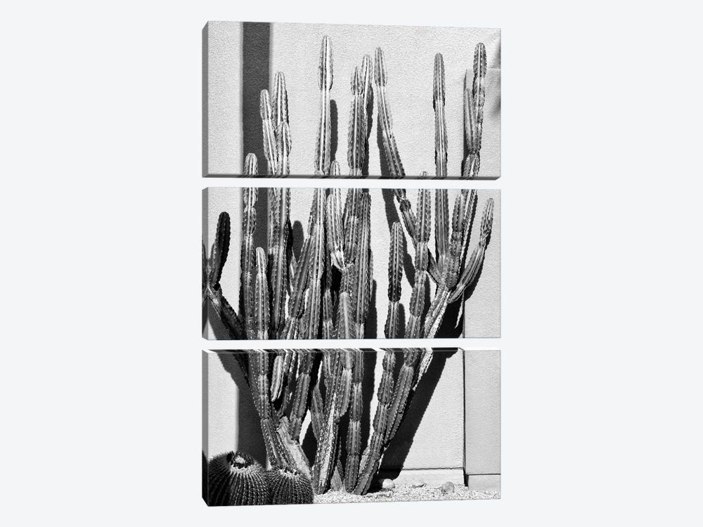Black California Series - Cactus Style by Philippe Hugonnard 3-piece Art Print