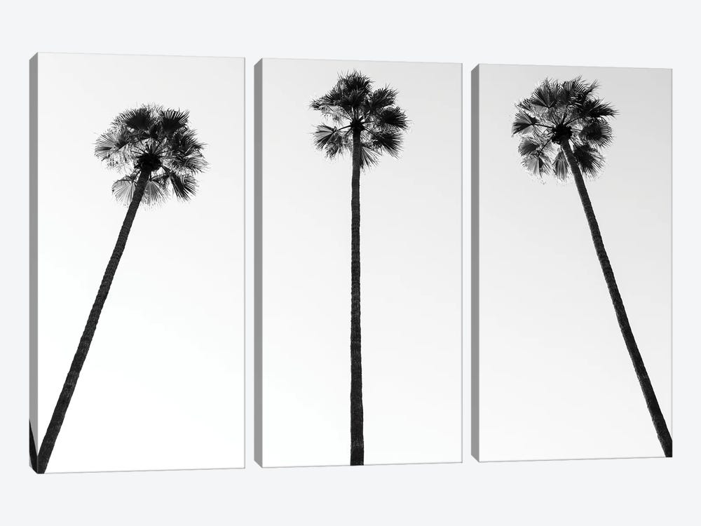 Black California Series - Palm Trees III by Philippe Hugonnard 3-piece Canvas Artwork