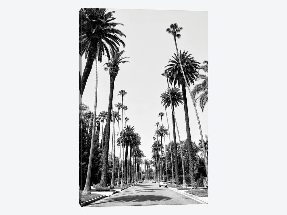 Black California Series - Beverly Hills Palm Alley II by Philippe Hugonnard 1-piece Canvas Print