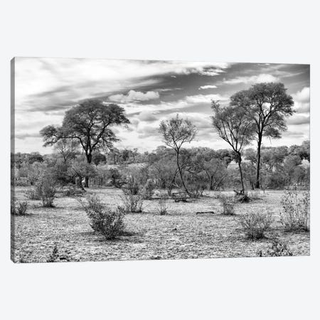 African Landscape  Canvas Print #PHD183} by Philippe Hugonnard Canvas Print