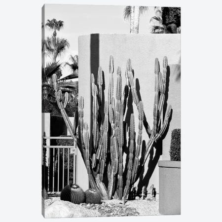 Black California Series - Cactus Design Canvas Print #PHD1840} by Philippe Hugonnard Canvas Art Print
