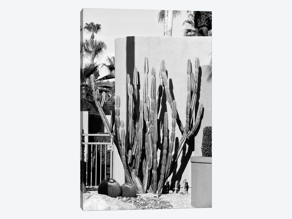 Black California Series - Cactus Design by Philippe Hugonnard 1-piece Canvas Art Print