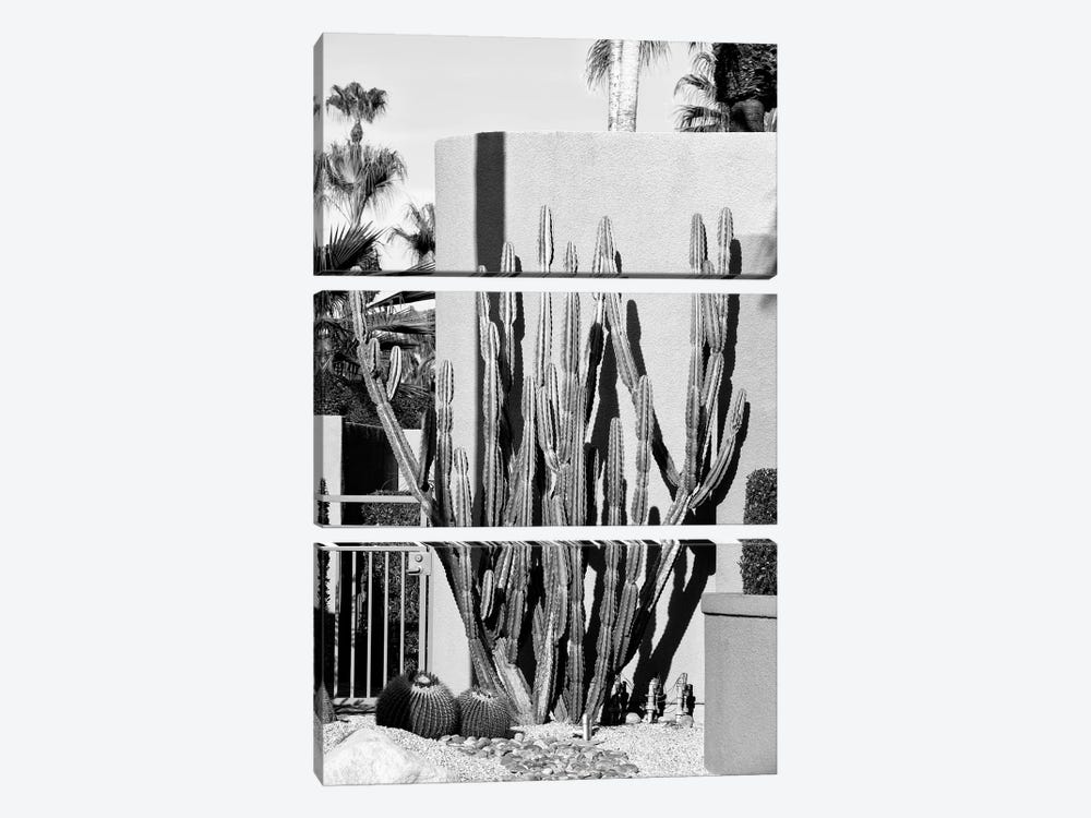 Black California Series - Cactus Design by Philippe Hugonnard 3-piece Canvas Print
