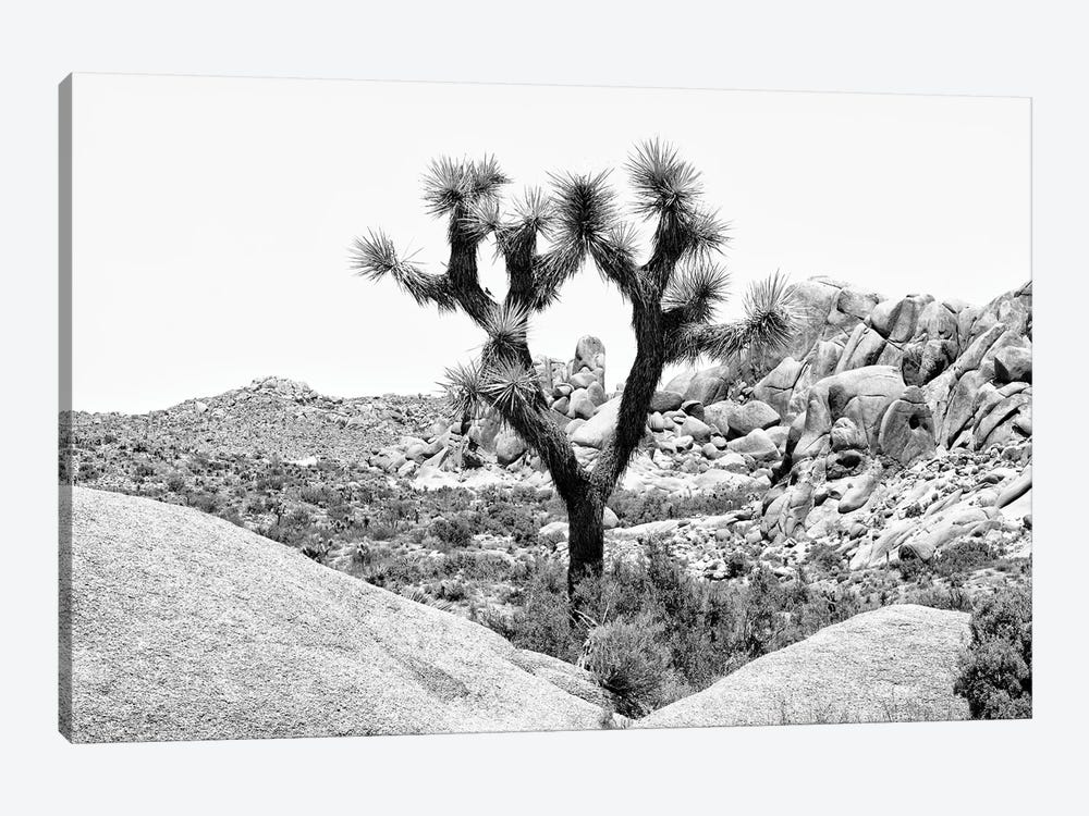 Black California Series - Joshua Tree National Park IV by Philippe Hugonnard 1-piece Canvas Artwork