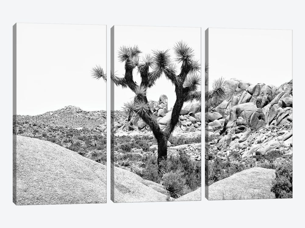 Black California Series - Joshua Tree National Park IV by Philippe Hugonnard 3-piece Canvas Art