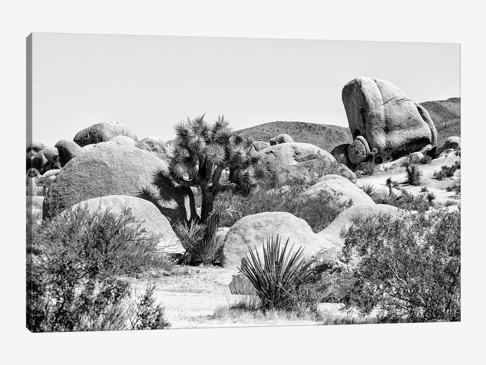 Black California Series - Joshua Tree National Park V by Philippe Hugonnard 1-piece Canvas Artwork