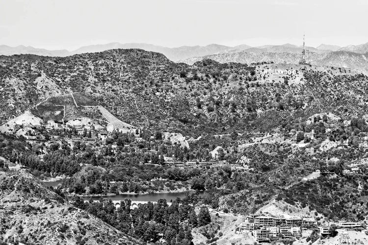 Black California Series - Hollywood Hills View