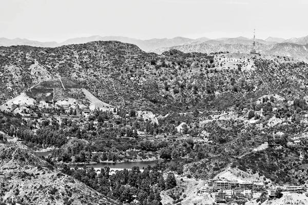 Hollywood Hills View