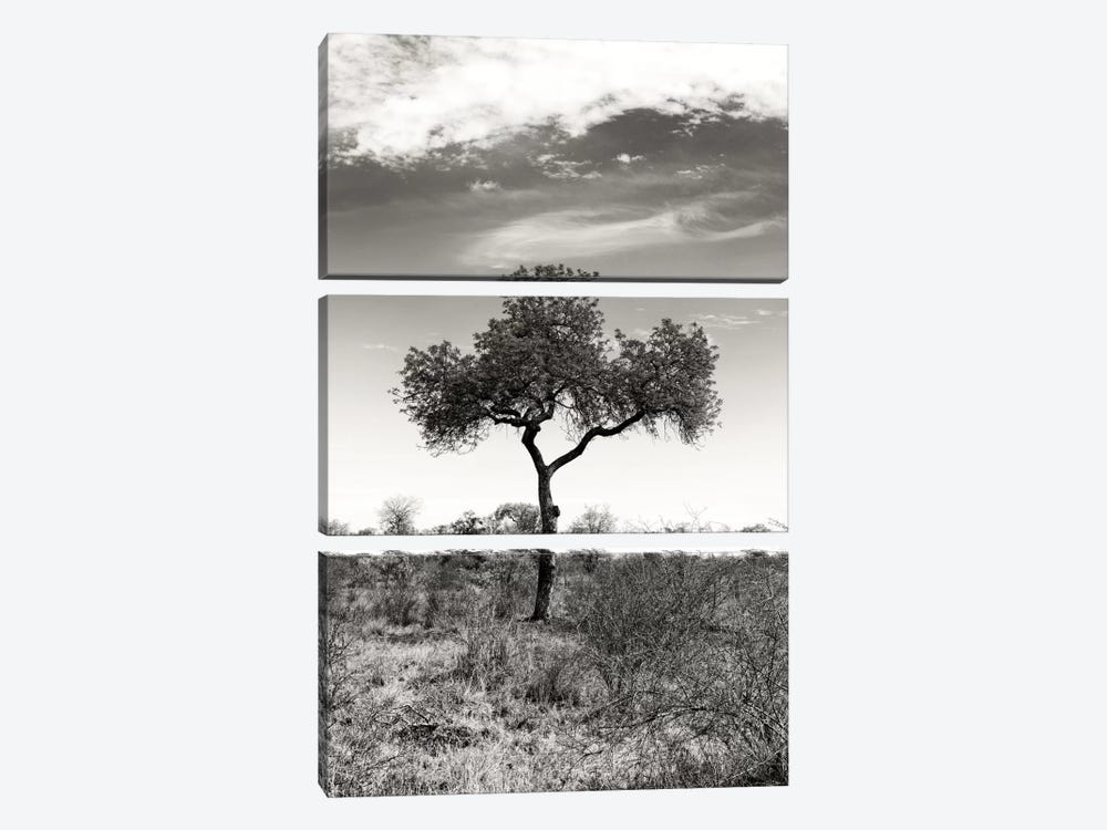 African Landscape II by Philippe Hugonnard 3-piece Canvas Print