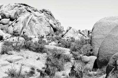 Black California Series - Boulders Rock Desert by Philippe Hugonnard canvas print