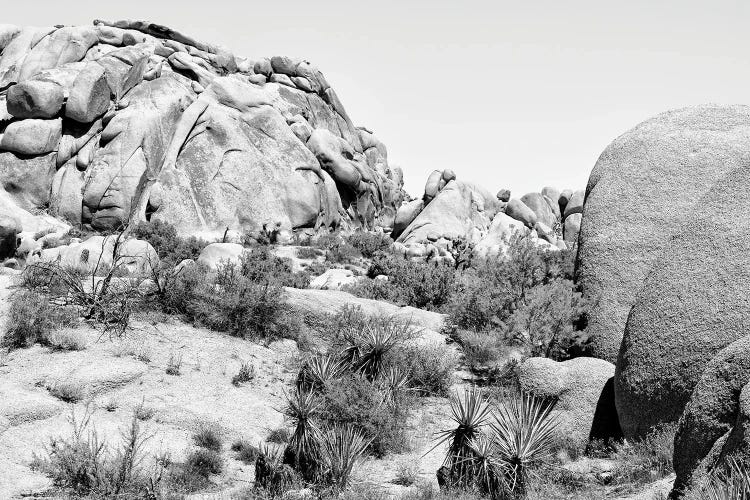 Black California Series - Boulders Rock Desert