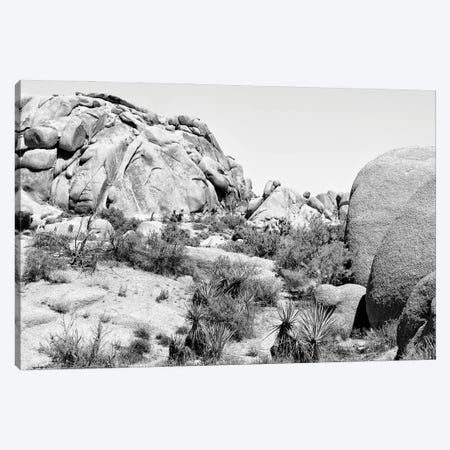 Black California Series - Boulders Rock Desert Canvas Print #PHD1853} by Philippe Hugonnard Canvas Art