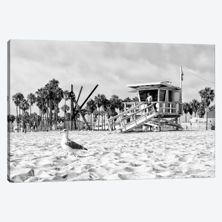Black California Series - Venice Beach Baywatch Canvas Print #PHD1854} by Philippe Hugonnard Canvas Art Print