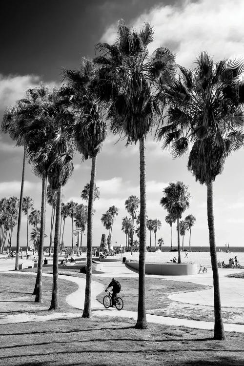 Black California Series - Venice Beach Skate Park II