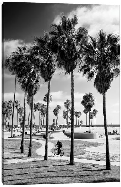 Black California Series - Venice Beach Skate Park II Canvas Art Print - Los Angeles Art