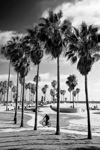 Los Angeles: Venice Beach Skate Park II by Philippe Hugonnard
