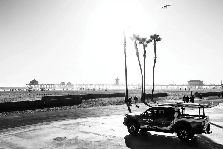 Black California Series - Huntington Beach Lifeguard