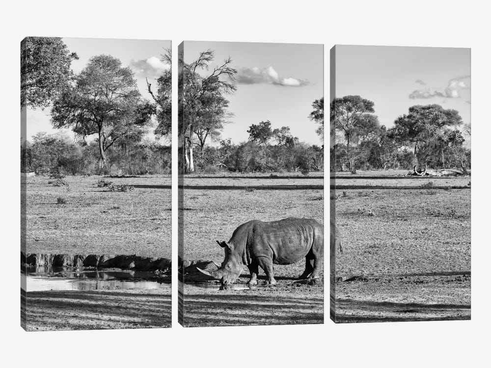 Black Rhinoceros by Philippe Hugonnard 3-piece Art Print