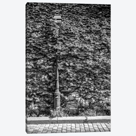 Black Montmartre Series - Hidden Between The Leaves Canvas Print #PHD1877} by Philippe Hugonnard Canvas Print