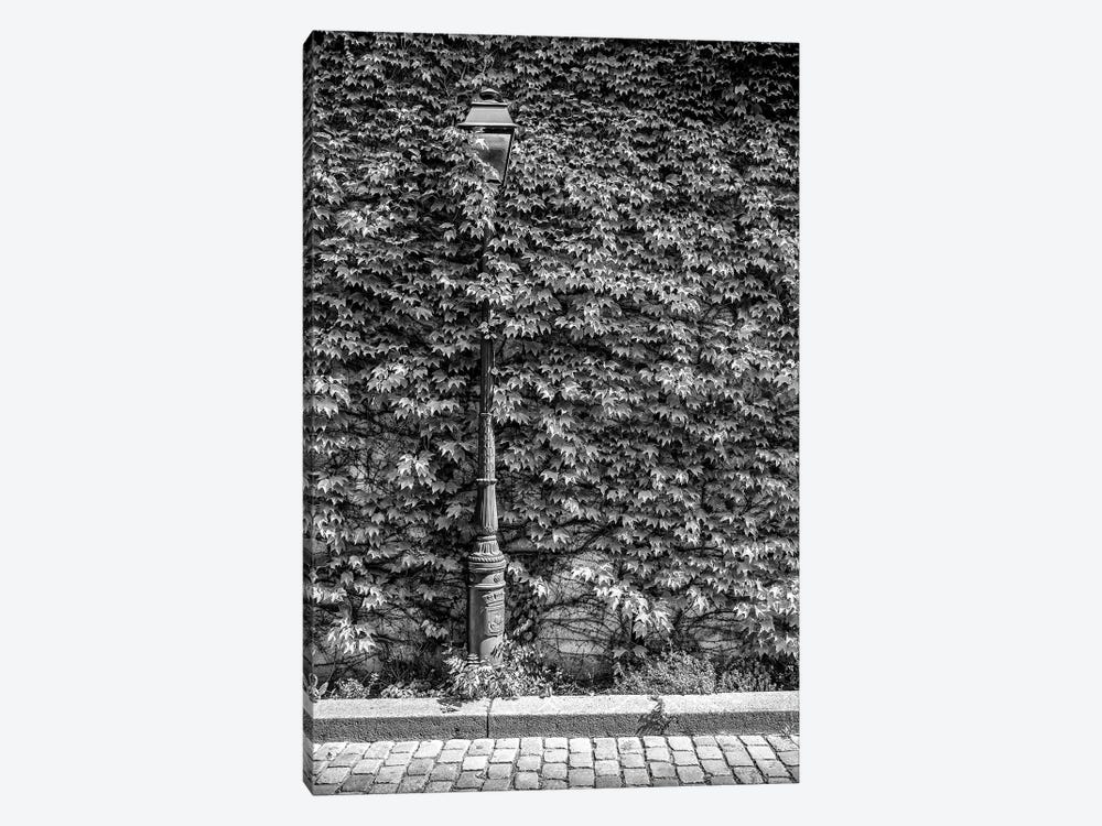 Black Montmartre Series - Hidden Between The Leaves by Philippe Hugonnard 1-piece Art Print