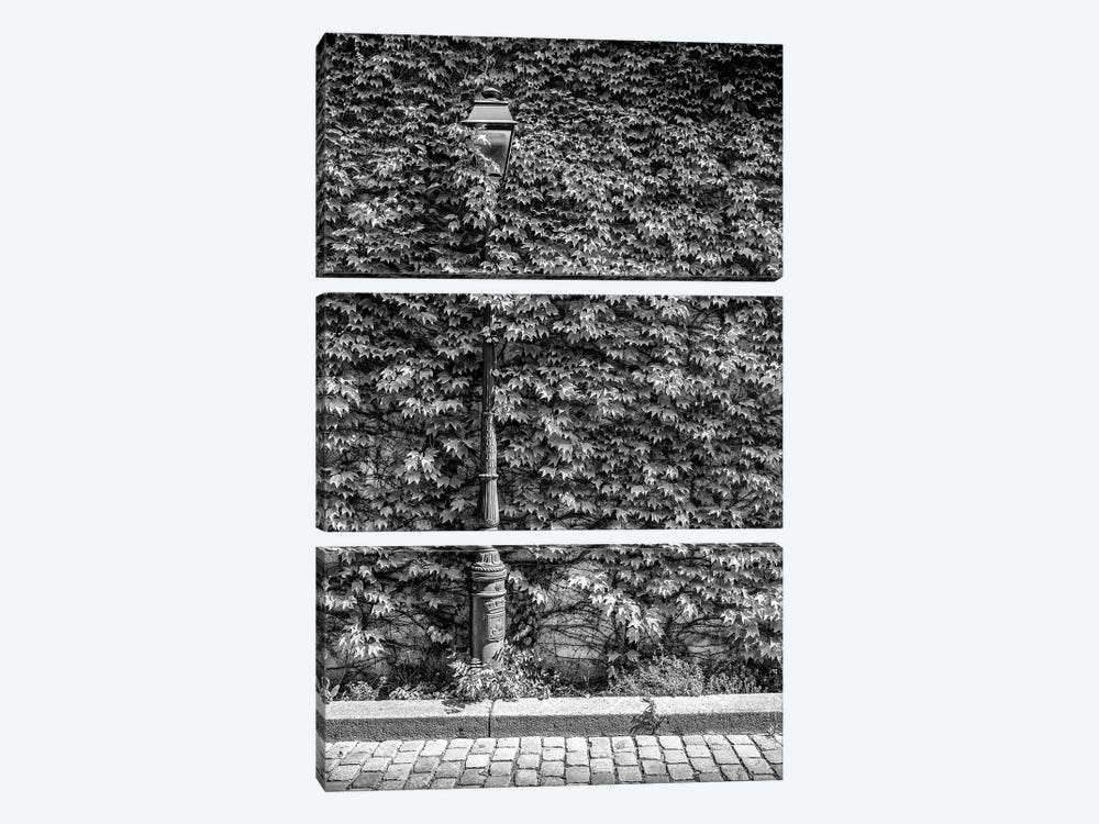 Black Montmartre Series - Hidden Between The Leaves by Philippe Hugonnard 3-piece Canvas Art Print