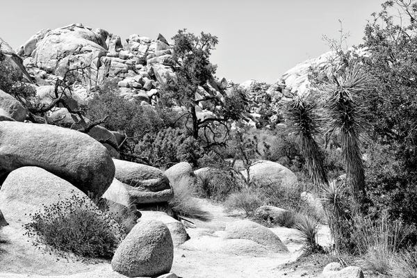Nevada: Between Two Rocks by Philippe Hugonnard