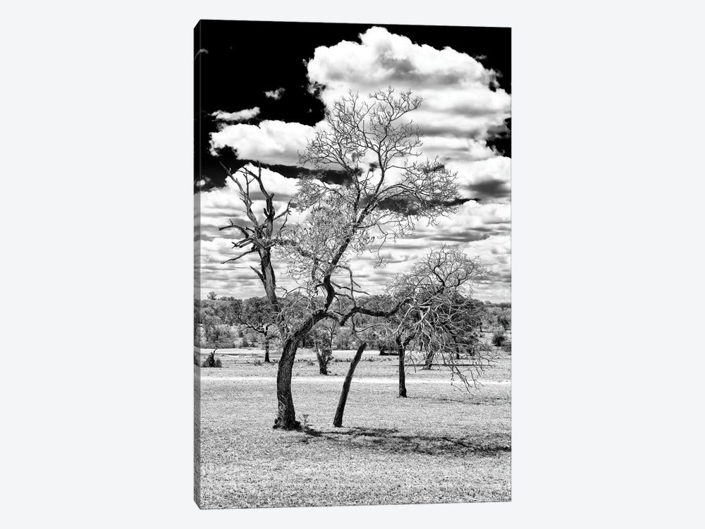 Dead Tree in the African Savannah  by Philippe Hugonnard 1-piece Canvas Art