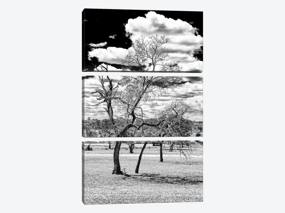 Dead Tree in the African Savannah  by Philippe Hugonnard 3-piece Canvas Artwork